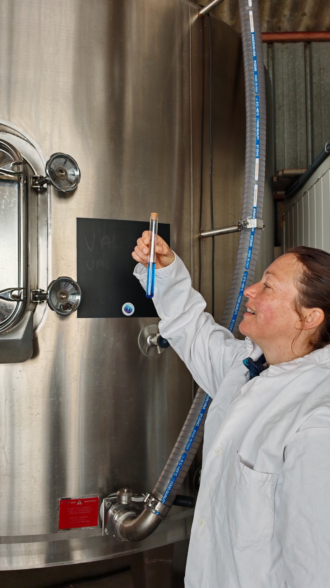 laboratoire extraction phycocyanine de Julie