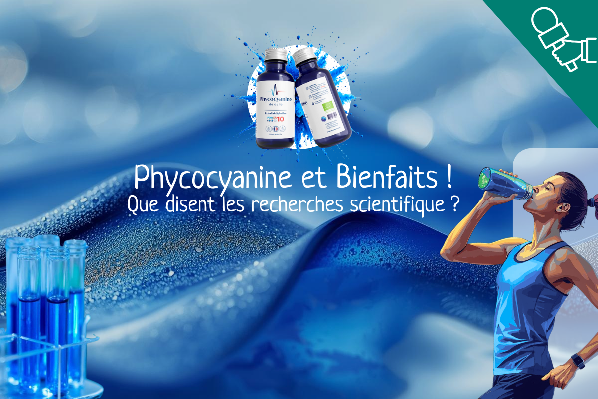 image de l'article : Les bienfaits de la Phycocyanine,composé de la spiruline et les recherches scientifiques