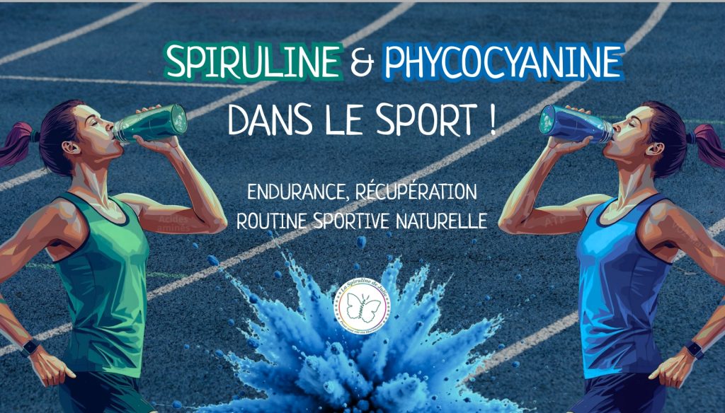 Spiruline et phycocyanine dans le sport : endurance, récupération et routine sportive naturelle