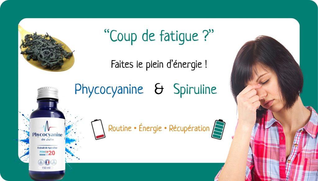 Fatigue : pourquoi la spiruline et la phycocyanine intéressent de plus en plus ?